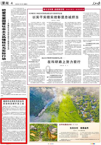 森系丛林